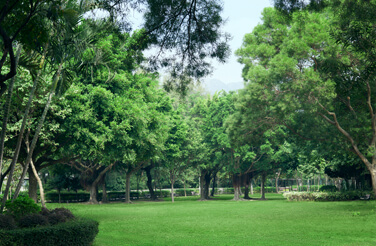 Kowloon Tsai Park